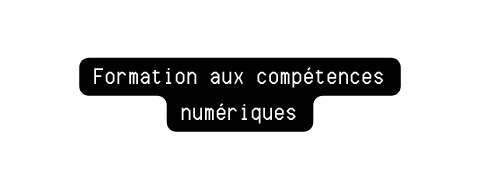 Formation aux compétences numériques